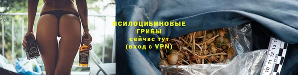 ПСИЛОЦИБИНОВЫЕ ГРИБЫ Алзамай