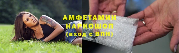ПСИЛОЦИБИНОВЫЕ ГРИБЫ Алзамай