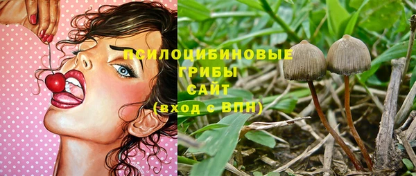 ПСИЛОЦИБИНОВЫЕ ГРИБЫ Алзамай