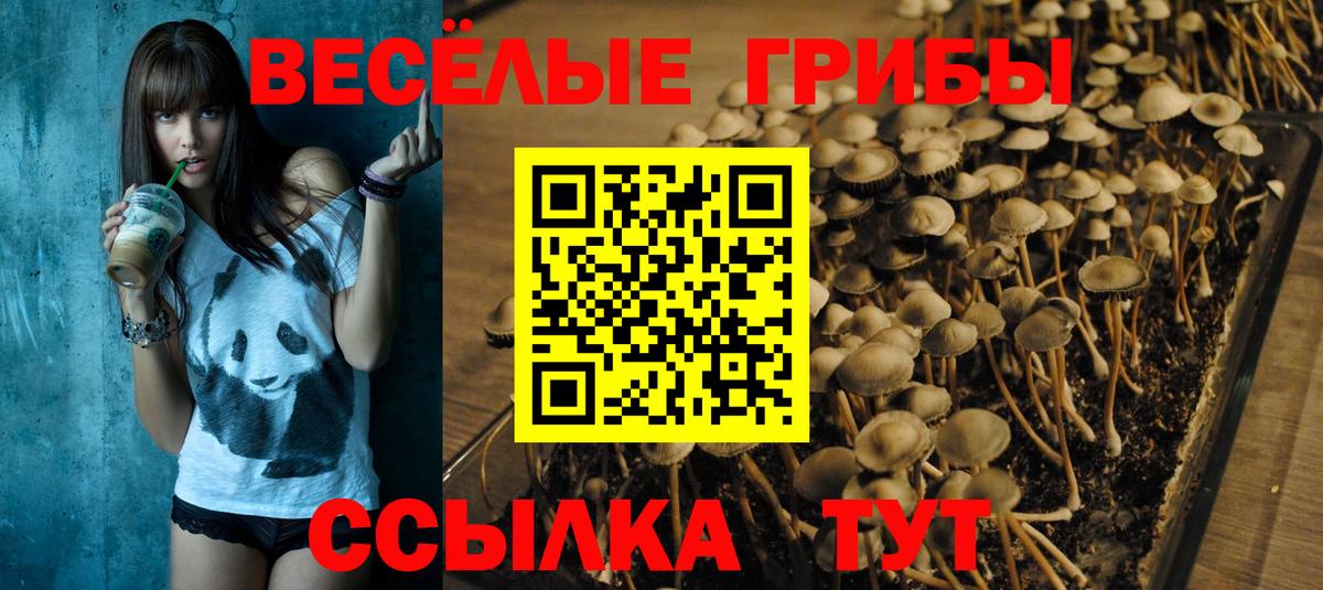Галлюциногенные грибы GOLDEN TEACHER  Вход с VPN  Волоколамск  Псилоцибиновые грибы мицелий 
