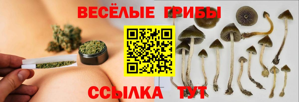 Галлюциногенные грибы Cubensis Волоколамск